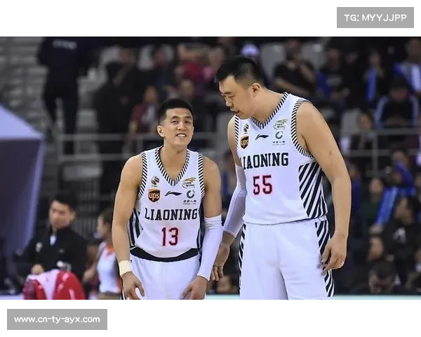 深圳队三分战术联赛第一，小球风暴兴起